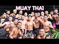 Pro Fighters Class | Sparring, Padwork & Clinching | Bangtao Muay Thai