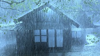 Cure Insomnia with Pouring Rain & Thunder Roaring on Corroded Tin Roof in Gloomy Forest at Night