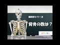 「背骨の数は？」　生活に役立つ解剖学シリーズ