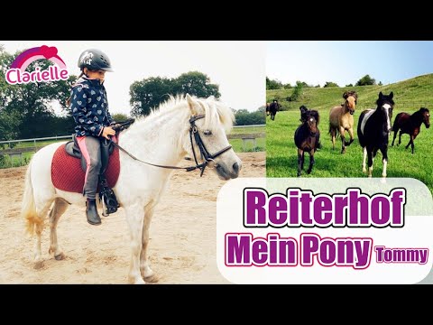 , title : 'Auf dem Reiterhof 🐴 Mein Pferd Tommy! Reiten lernen ohne Zügel | Pony putzen & Galopp | Clarielle'