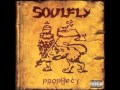 Soulfly-In The Meantime