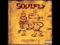 Soulfly-In The Meantime 