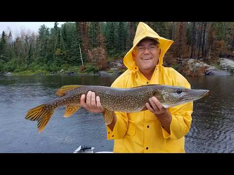 Amik Outpost - Cobham River Trip 2018