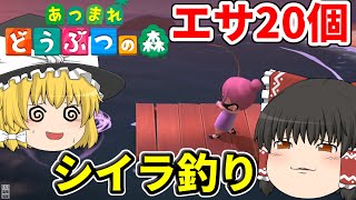 【ゆっくり実況】20個のエサでシイラちゃんを狙え！！【あつ森】
