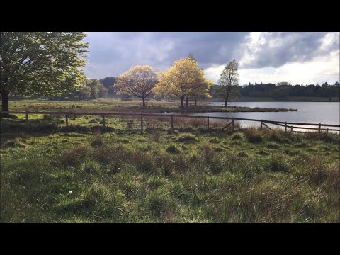 Walk to Tatton Park / Knutsford Cheshire. Enjoy the sounds of nature. Fantastic Place!