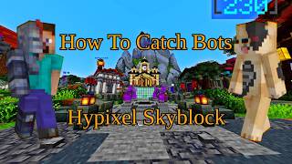 How To Catch Bots In Hypixel Skyblock