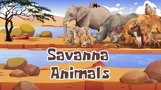 Savanna Animal Names | English For Kids | Binatang padang sabana