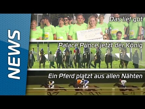 Sport-Welt TV News | 14.08.2015 | Der Business Run, Palace Prince und Wild Chief