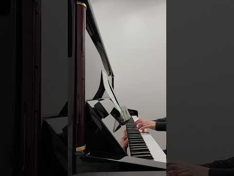 Fantasia Con Spirito by N.Faber Piano Adventures Level 3B Lesson Book