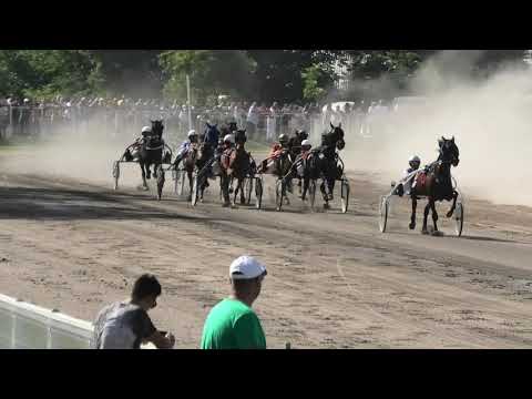 Trka "Subotička milja-I trčanje" 30.06.2019 Rite on Win - Dejan Katanić