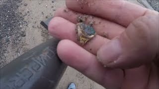 Beach Metal Detecting Gold in the Hole!