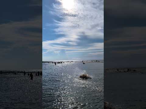 Enjoying sea view 🌊