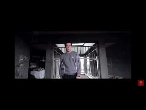 MORF x ZIK - 18 NIJANSI SIVE