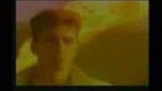 Real Life-Openhearted