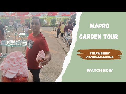 Mapro Garden Lonavala Tour | Strawberry Icecream Making