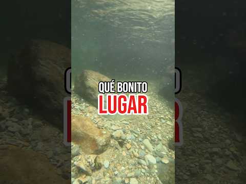 Qué Bonito Lugar#lobonitodeecuador #gualaquizaecuador🇪🇨 #moronasantiago #canyoning #cascadas