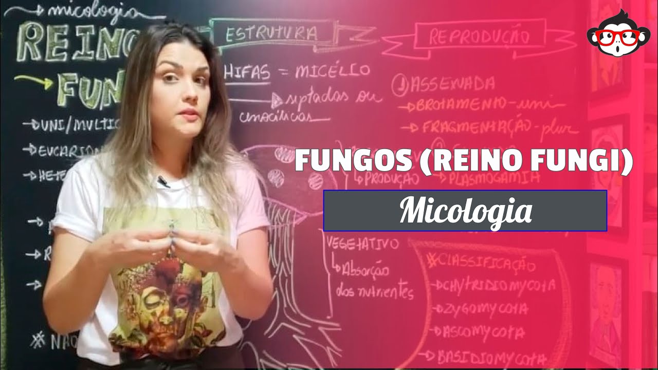 Micologia | Fungos (Reino Fungi) 🙈 🙉 🙊