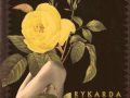 Rykarda Parasol - How does a woman fall