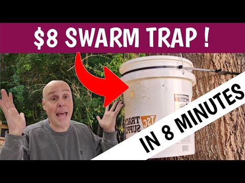 How to Make an $8 Honey Bee Swarm Trap in 8 Minutes: Quick and Easy DIY Guide