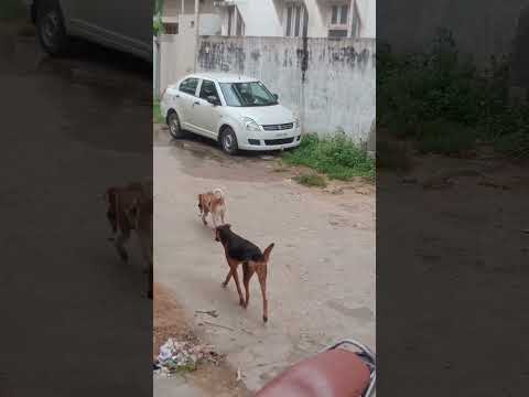 #short#funny video #