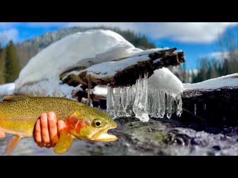 Fly Fishing in the Winter Months 