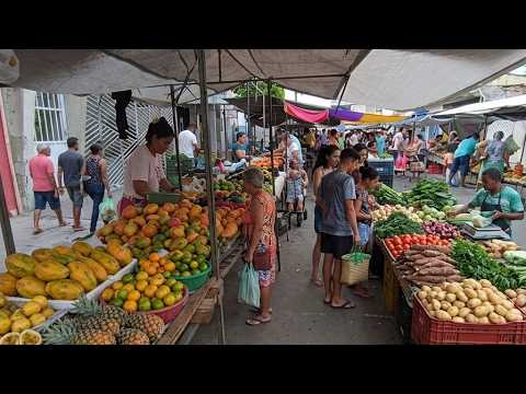 Feira livre de Agrestina PE, veja que fartura milho  verde de um real.