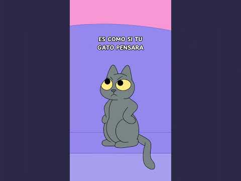 Why does your cat meow when you leave? 🐾💔 #cats #cat #kittens #felines #kitty #kitties