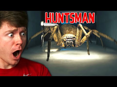 I Was HUNTED by GIANT SPIDERS!? - Huntsman
