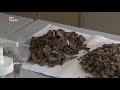 Bijzondere opgraving in Houten [RTV Utrecht]