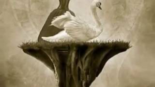 Letzte Instanz - Das weisse Lied (Songtext)