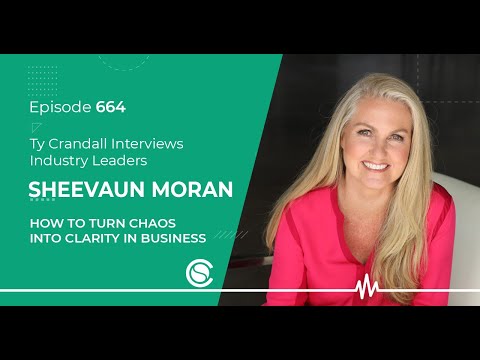Sheevaun Moran: How to Turn Chaos into Clarity in Business