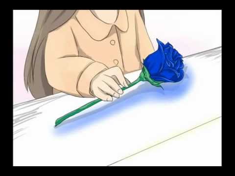 Ib The Same Story english subs