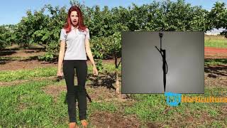 Miniatura do vídeo