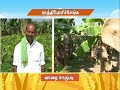 Pon Vilaiyum Bhoomi 07 4 2021 Successful Farmer Story