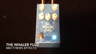 Video thumbnail for Matthew Effects The Whaler Fuzz by Curtis Kent