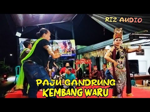 PAJU GANDRUNG TEROB BANYUWANGI || KEMBANG WARU || Pecari Putih - live Kemiren 2024