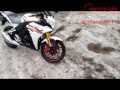Обзор мотоцикла S2 Panter Honda CBR250 