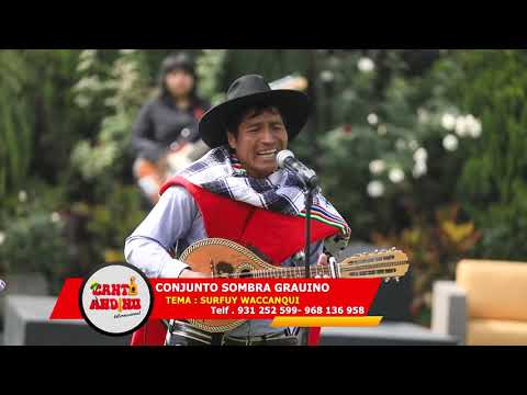 CONJUNTO SOMBRA GRAUINO.   TEMA : SURFUY WACCANQUI