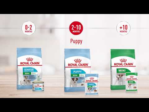 Royal Canin Mini Starter 1 Kg