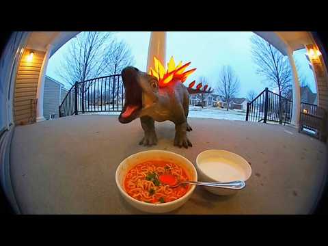 Animaux préhistoriques réagissant à des nouilles épicées filmées par une Ring Cam | Compilation d...