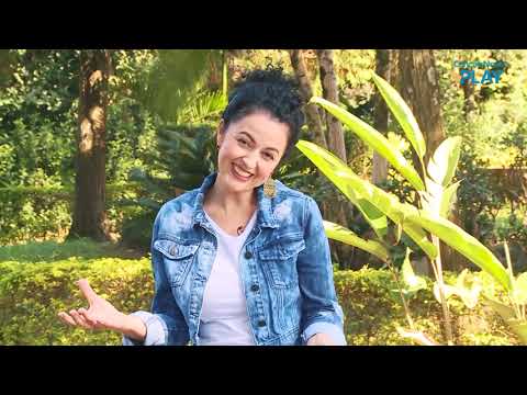 #92 Florescer - Abrace Mais (29/10/2021)