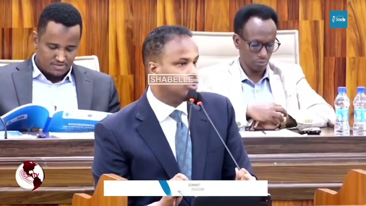 Somalia Cannot Progress with MP-Ministers: MP Mohamed Harun Demands Constitutional Reforms and Separation of Powers