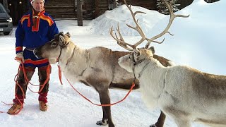 Erster Schnee begeistert das Santa Claus Village in Lappland