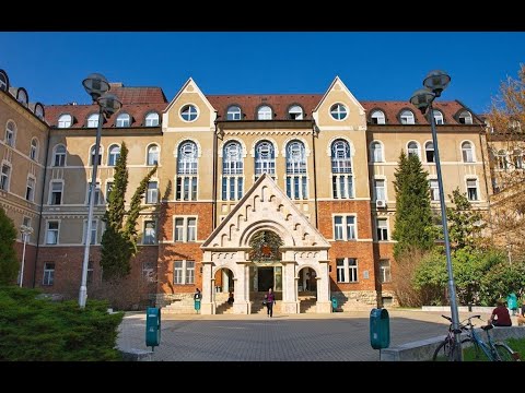 Faculdade de Ciências da UP - Dia Internacional da Orientação 2022