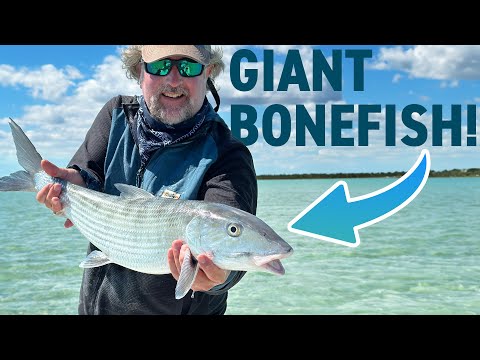 Fly Fishing for Giant Bonefish in the Bahamas!