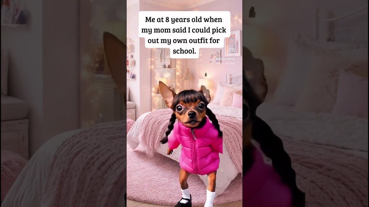 How Do I Look?! 🤦🏿‍♂️🤣