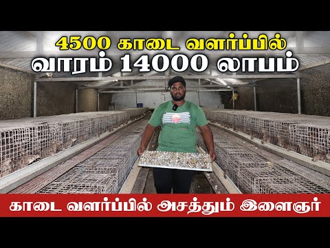 , title : 'காடை குஞ்சு உற்பத்தியில் வாரம் ₹14,000 சம்பாதிக்கும் இளைஞர் | Quail Farming in Tamil'
