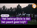 Paarden leggen 120 kilometer af tijdens WK endurance in Ermelo