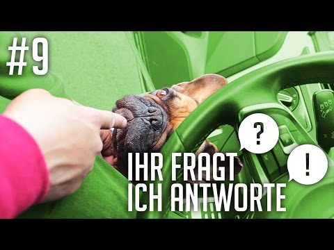 JP Performance - Ihr fragt / Ich antworte | #9