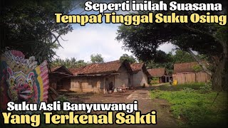 Download lagu Inilah Kenapa Banyuwangi di sebut Kota S4ntet, Mengunjungi Desa adat Osing yg Asri & Penuh Edukasi mp3
